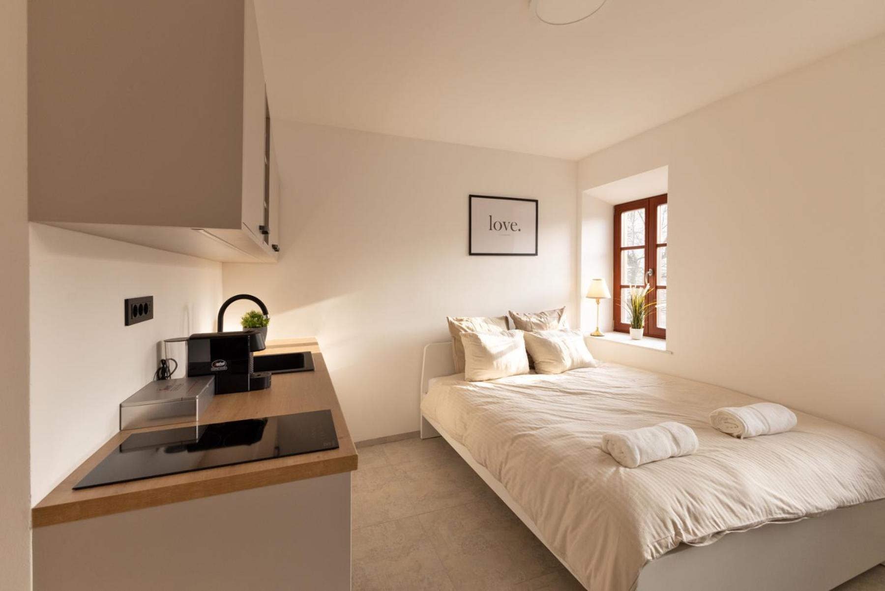 Apartment Napoleon *